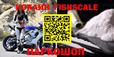 гашик Боровичи