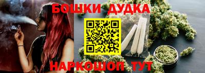 гашик Боровичи