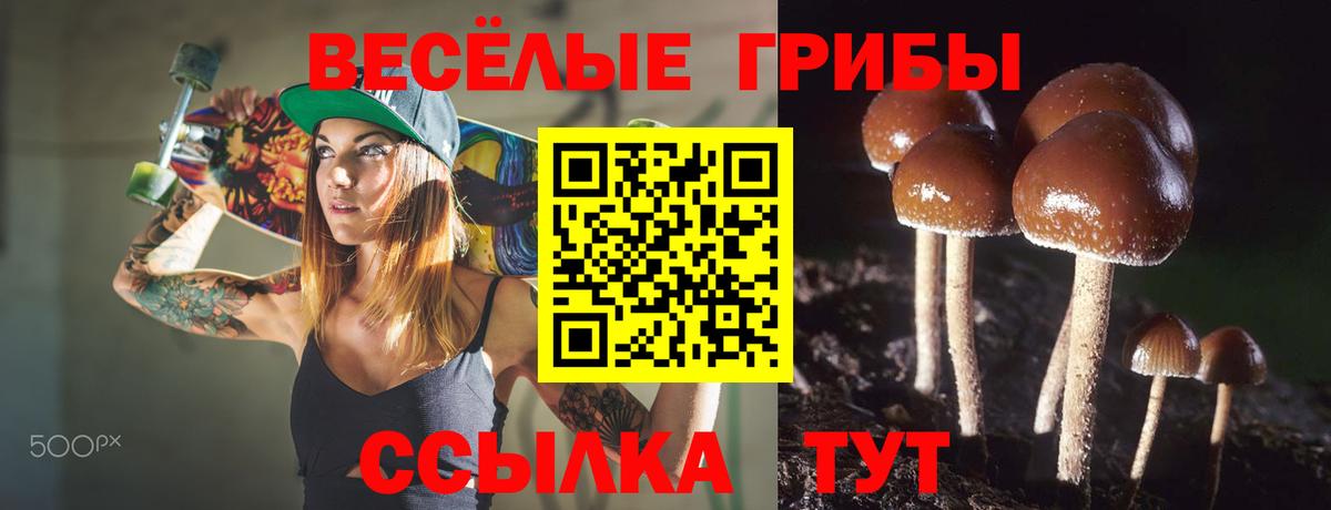 Галлюциногенные грибы MAGIC MUSHROOMS Дзержинск